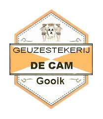 DeCam_logo